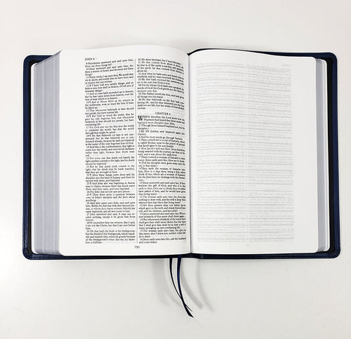 Biblia interlineal