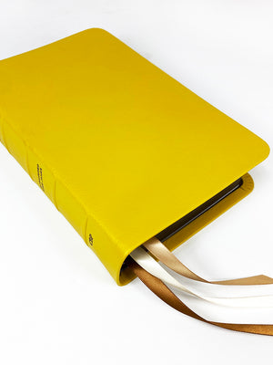 Biblia de Texto de Bolsillo - Serie Piel de Vacuno Plena Flor, Honeycomb