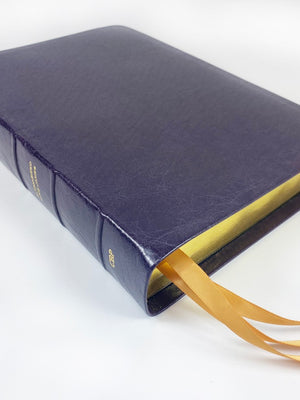 Midsize Turquoise Reference Bible - Platinum Series, Plum
