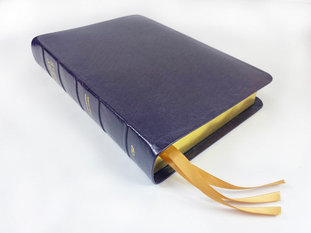 Midsize Turquoise Reference Bible - Platinum Series, Plum