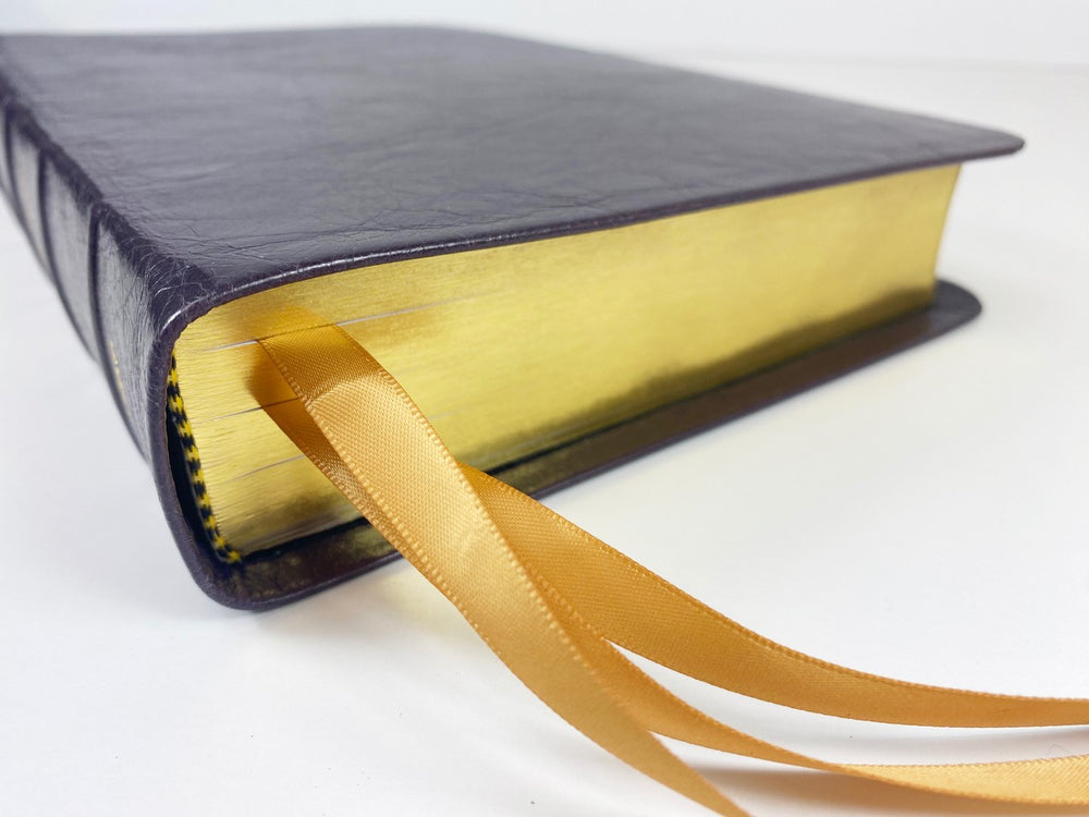 Midsize Turquoise Reference Bible - Platinum Series, Plum