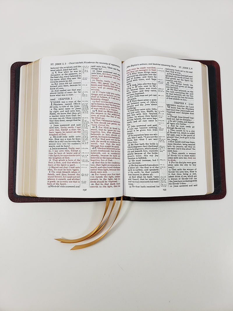Midsize Turquoise Reference Bible - Platinum Series, Milk Chocolate