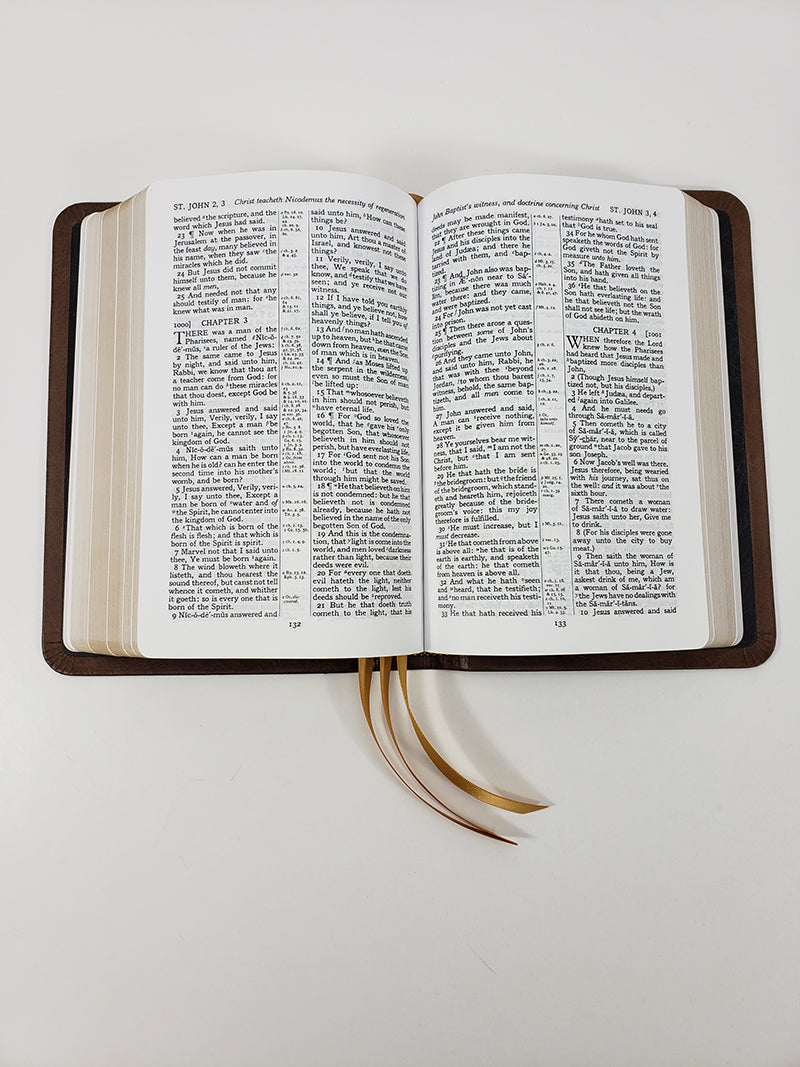 Biblia de Referencia Turquesa de Letra Negra Tamaño de Mano - Serie Platino, Chocolate con Leche