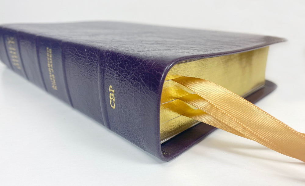 Biblia de Texto de Bolsillo - Serie Platino, Ciruela
