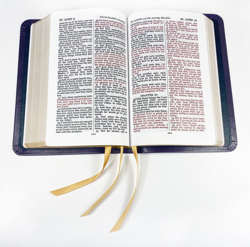Artisan Sale! - Handsize Text Bible - Platinum Series, Plum