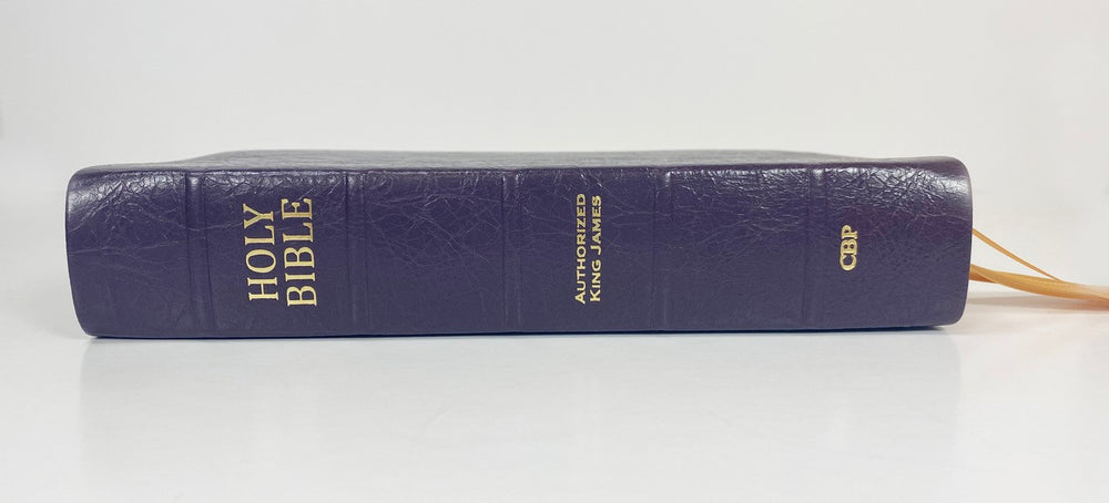 Artisan Sale! - Handsize Text Bible - Platinum Series, Plum