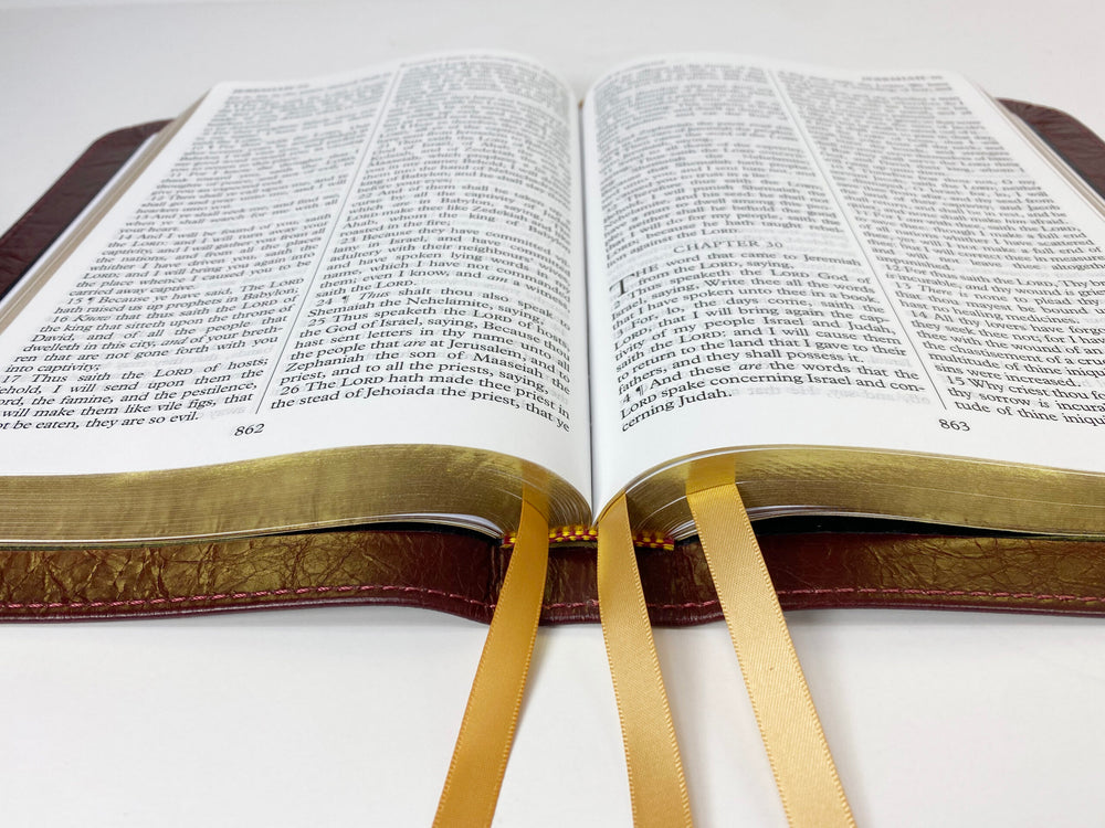 Artisan Sale! - Midsize Large Print Text Bible - Platinum Series, Full Yapp Cranberry