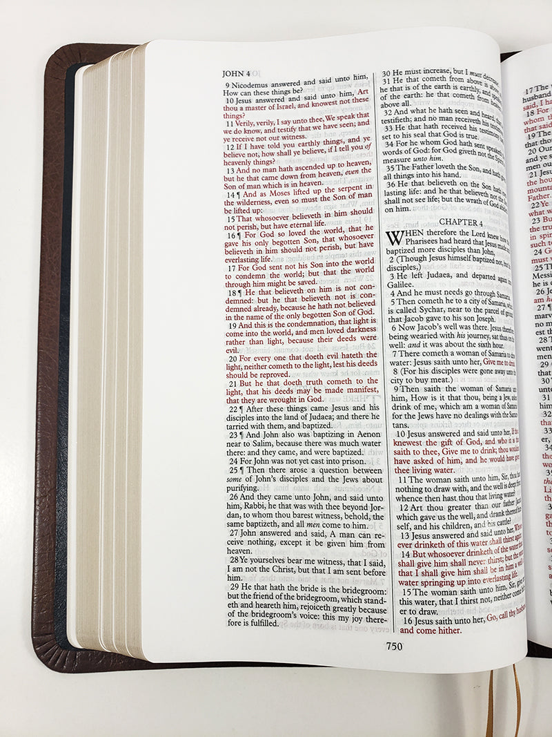 Thinline Bible - Platinum Series, Cranberry