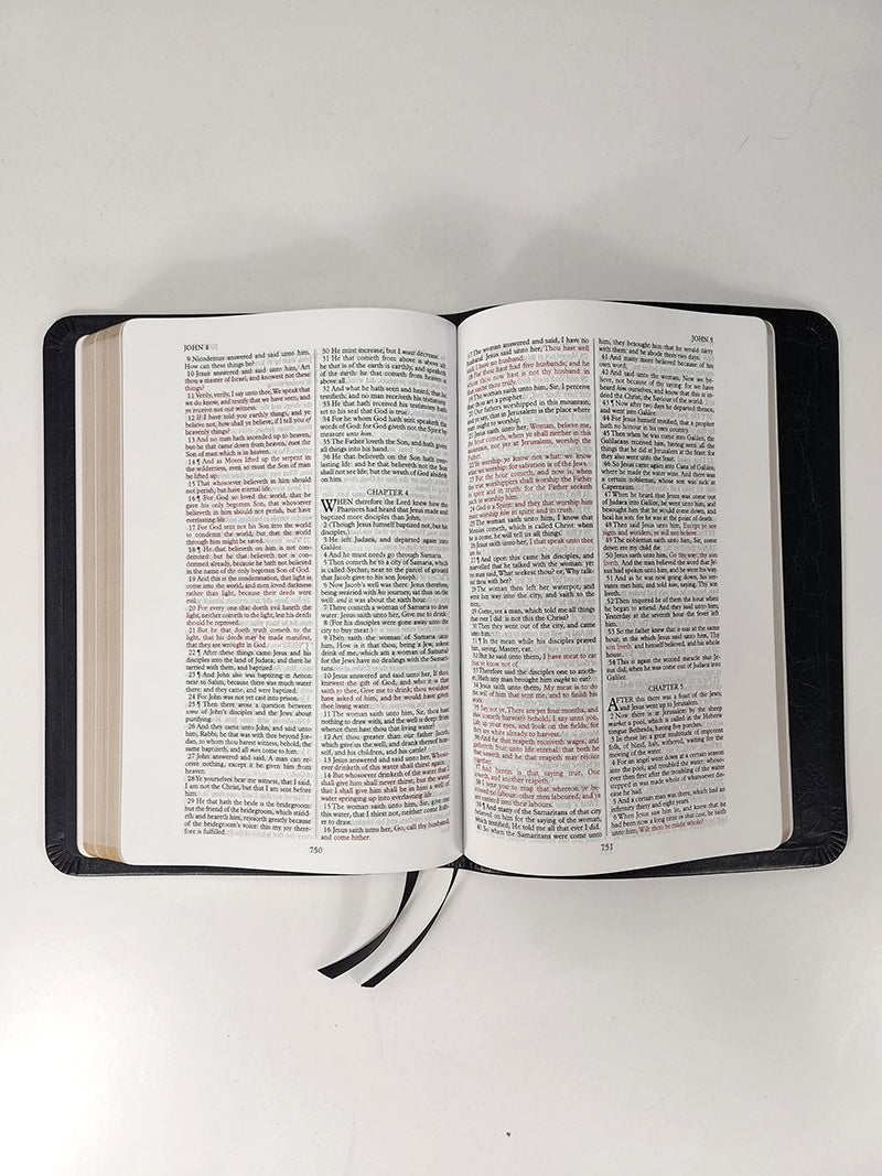 Thinline Bible - Platinum Series, Cranberry