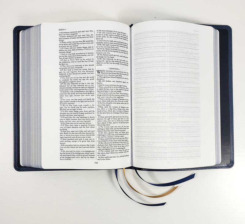 Limited Edition Interleaved Bible - Redeemer Series, Blue