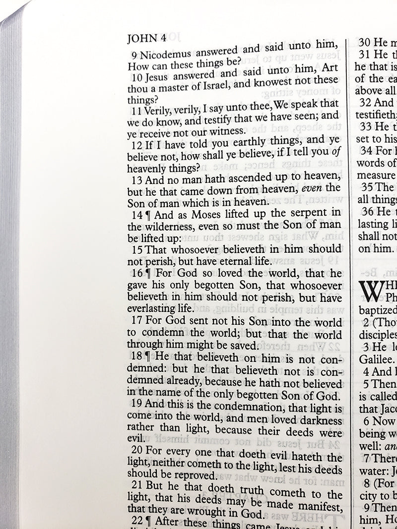 Midsize Interleaved Bible - Corporate Series, Blue