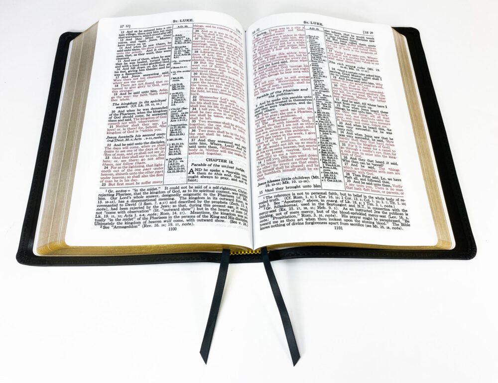 Midsize Large Print Classic Study Bible - Redeemer Series, Black (Gold)