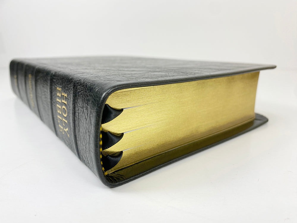 Artisan Sale! - Handsize Black Letter Turquoise Reference Bible - Platinum Series, Black Licorice