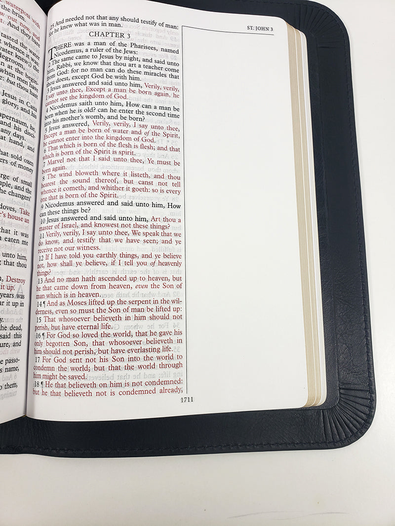 Biblia de Tamaño Mediano con Espacios para Notas - Serie Platino, Cuero Sintético Negro Regaliz, Solapa Completa
