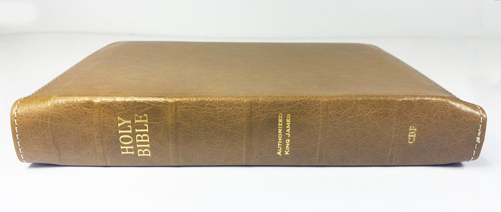 ¡Venta artesanal! - Edición del lector de letra grande de tamaño mediano - Serie Platino, aplicación completa, búfalo de agua color crema vainilla