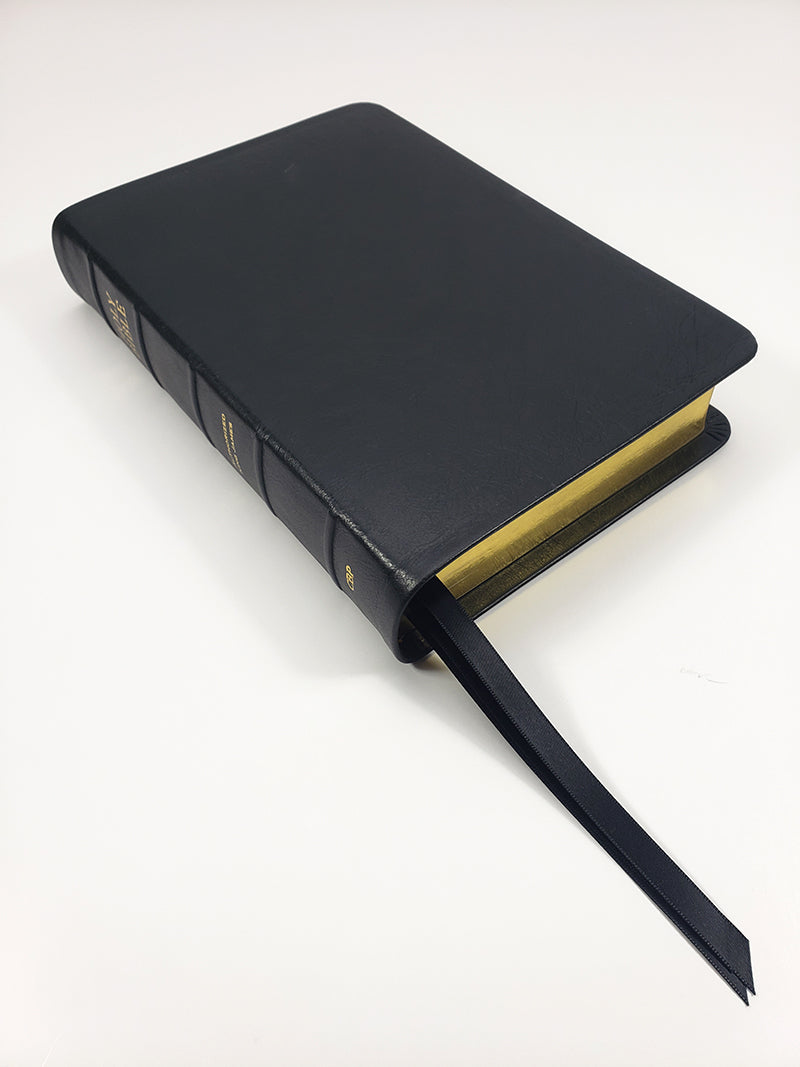Midsize Turquoise Reference Bible - Platinum Series, Black Licorice