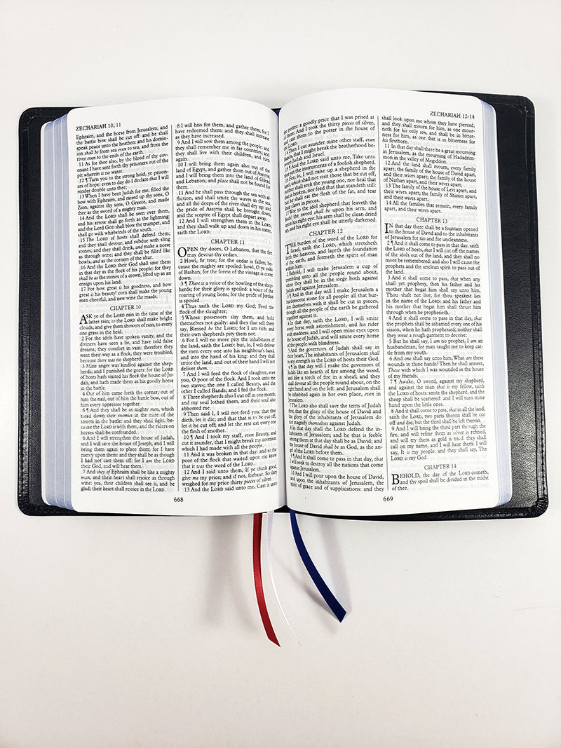 Biblia de texto Thinline de edición limitada - Serie Redentor, Negro