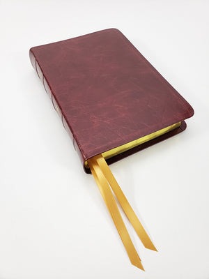 Midsize Notetakers Bible, Red Letter - Platinum Series, Cranberry