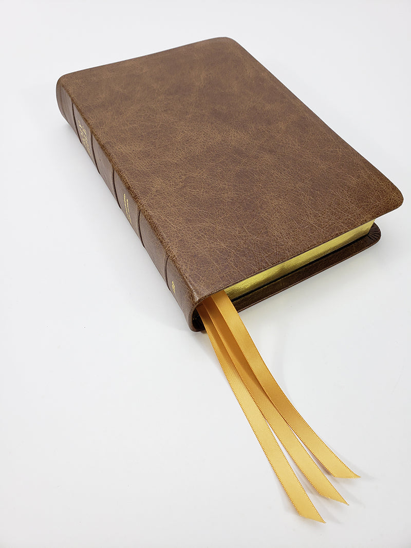Biblia tamaño mediano con notas, Letra roja - Serie Platino, Chocolate con leche