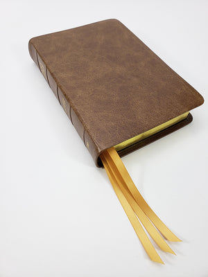 Midsize Notetakers Bible, Red Letter - Platinum Series, Milk Chocolate