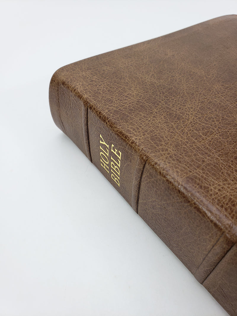 Biblia de Referencia Turquesa de Letra Negra Tamaño de Mano - Serie Platino, Chocolate con Leche