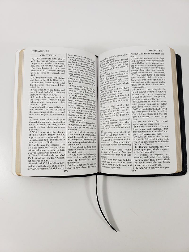 Nuevo Testamento con Salmos y Proverbios - Serie Corporativa, Rojo
