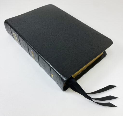 Handsize Black Letter Turquoise Reference Bible - Platinum Series, Black Licorice