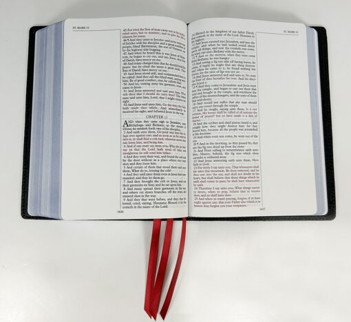 Midsize Notetakers Bible - Full-Grain Cowhide Series, Blue - Image 3